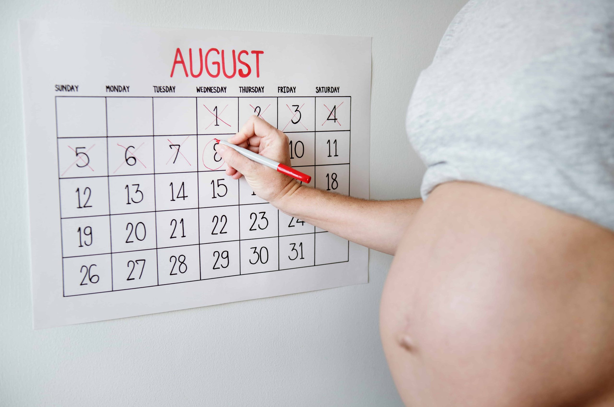 Second Trimester Changes Week by Week