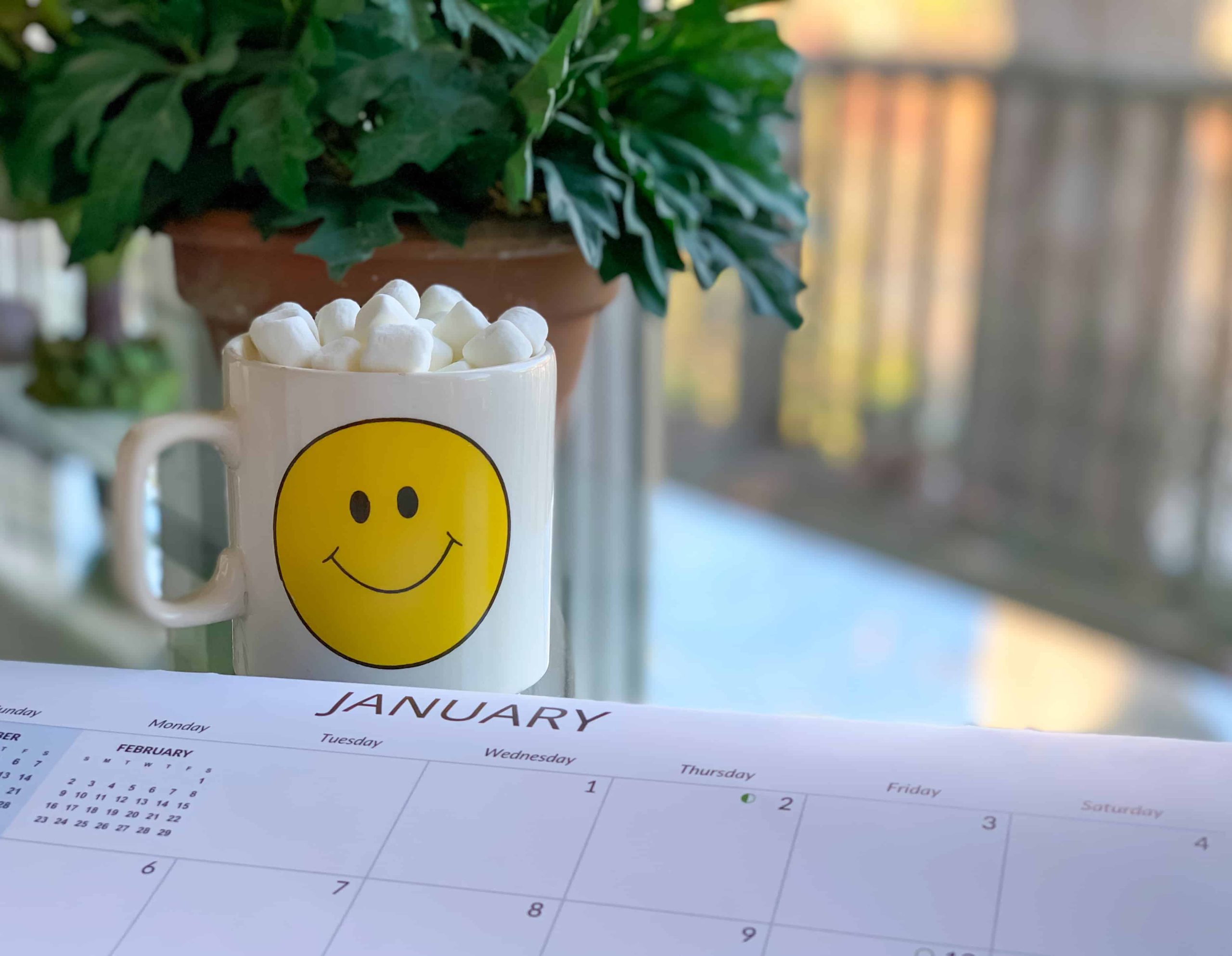 What to Expect in the Middle Months